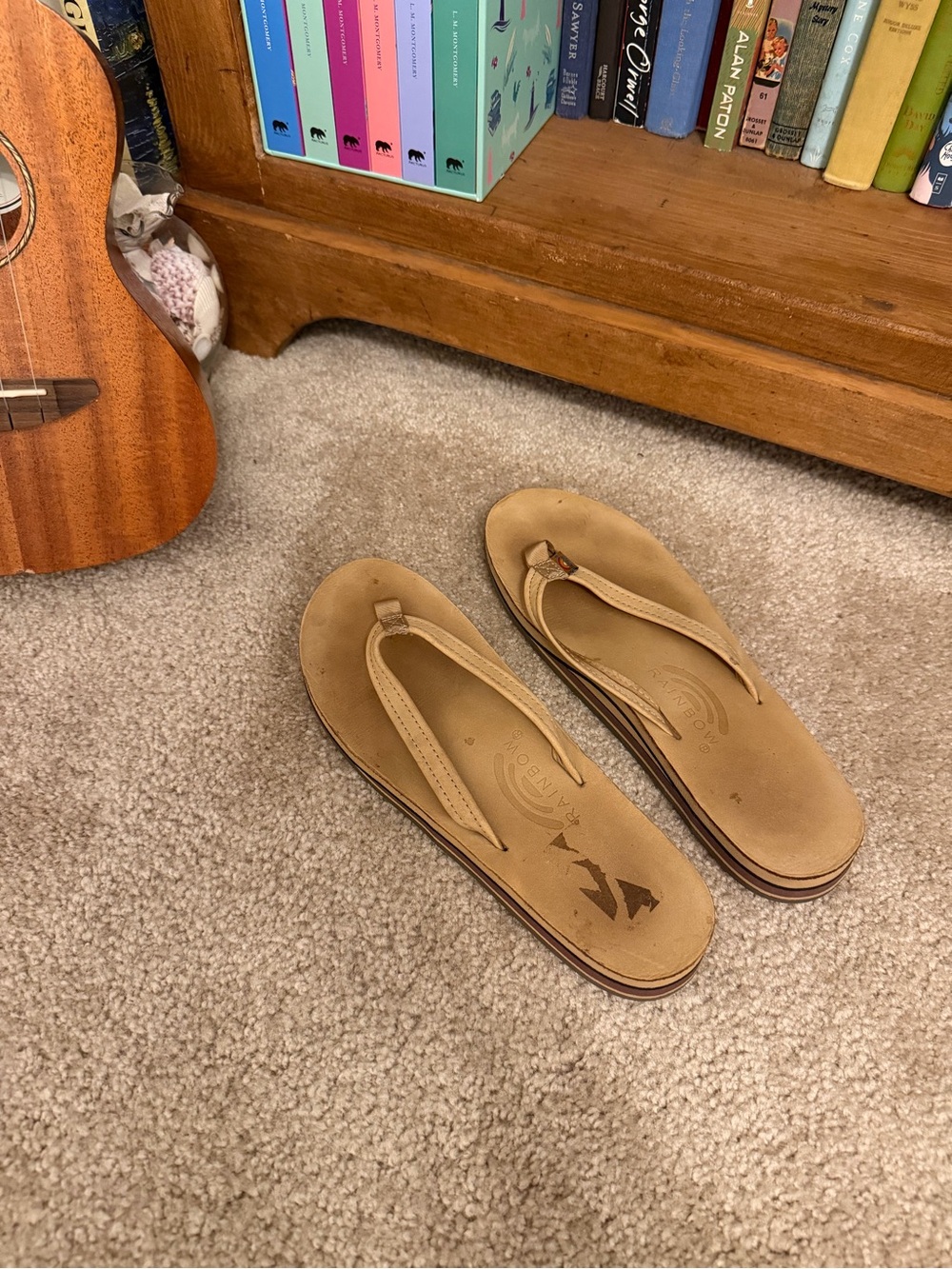 Rainbow flip flops